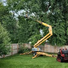 Best Stump Grinding and Removal  in Pine Mountain, GA