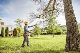 Best Arborist Consultation Services  in Pine Mountain, GA