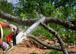 Best Emergency Tree Removal  in Pine Mountain, GA