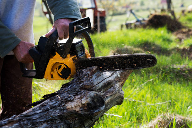 How Our Tree Care Process Works  in  Pine Mountain, GA